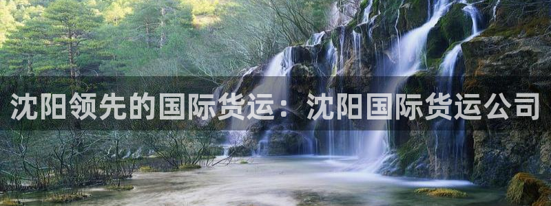 尊龙凯时邀请码：沈阳领先的国际货运：沈阳国际货运公司