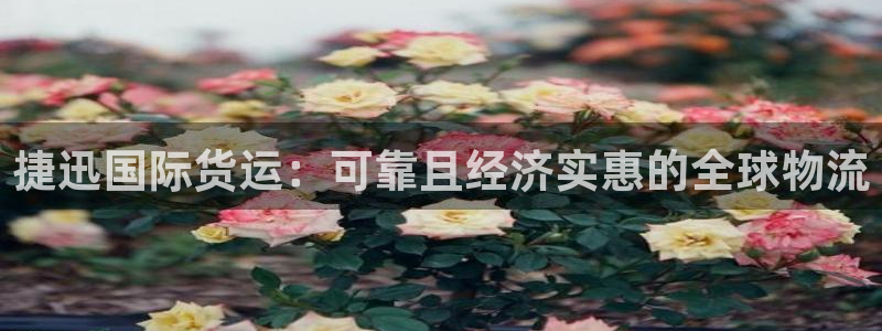 尊龙2021年最新消息：捷迅国际货运：可靠且经济实惠的全