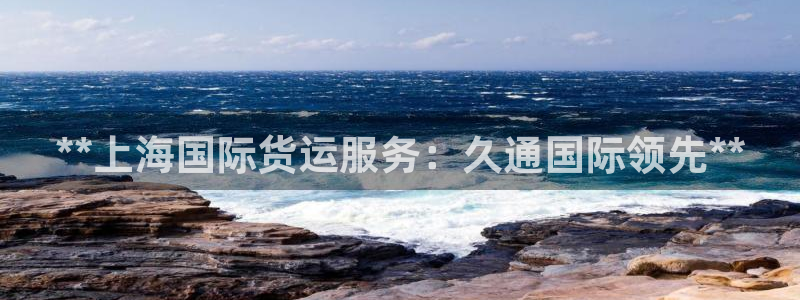 尊龙物流怎么样：**上海国际货运服务：久通国际领先**