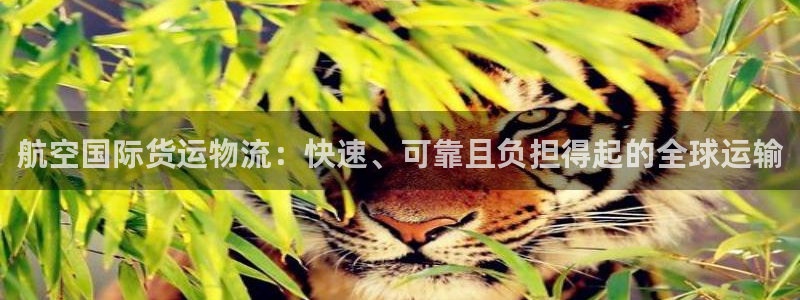 尊龙手机客户端app：航空国际货运物流：快速、可靠且负担