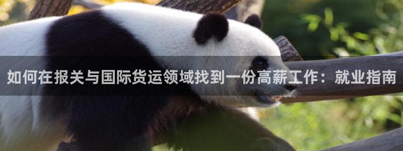 尊龙人生就是博旧版现：如何在报关与国际货运领域找到一份高