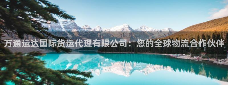 尊龙人生就是博登陆：万通运达国际货运代理有限公司：您的全