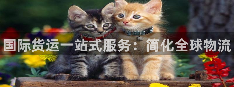 尊龙手机官方客户端下载安卓：国际货运一站式服务：简化全球