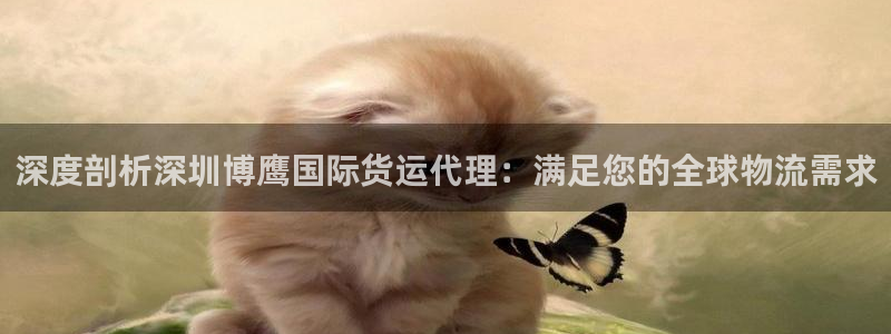 尊龙ag旗舰厅官网·(中国)官方入口：深度剖析深圳博鹰国