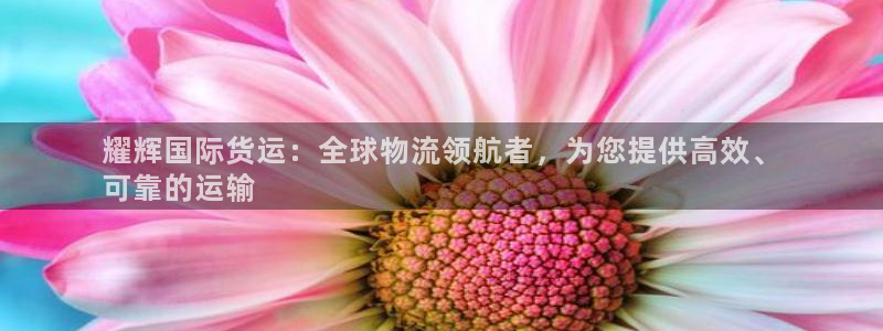 尊龙凯时 人生就是搏：耀辉国际货运：全球物流领航者，为您