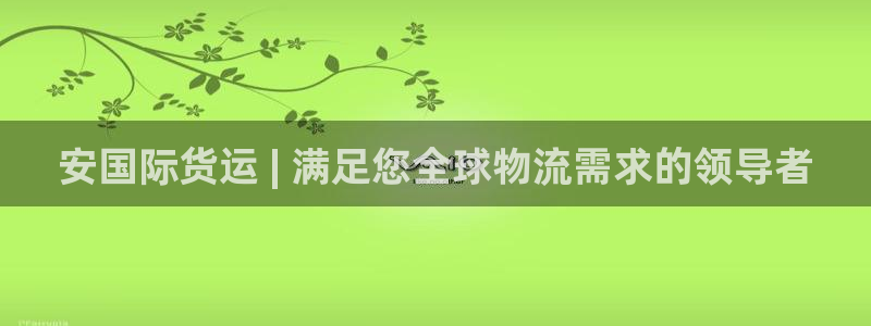 尊龙凯时网站首页手机登录：安国际货运 | 满足您全球物流