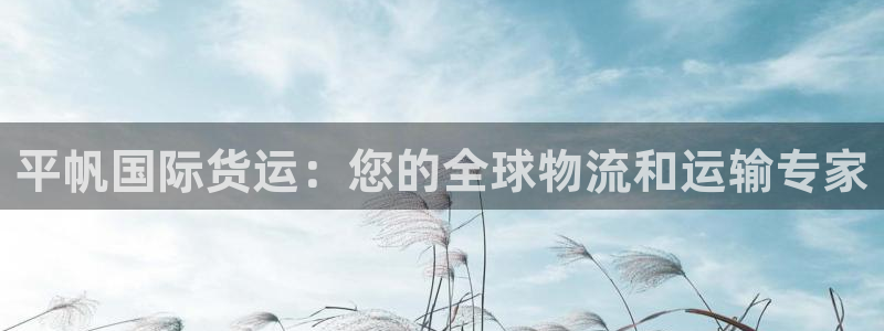 尊龙凯时ag旗舰：平帆国际货运：您的全球物流和运输专家