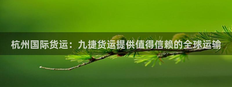 尊龙 6：杭州国际货运：九捷货运提供值得信赖的全球运输
