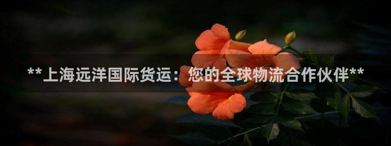 尊龙 贴吧：**上海远洋国际货运：您的全球物流合作伙伴*