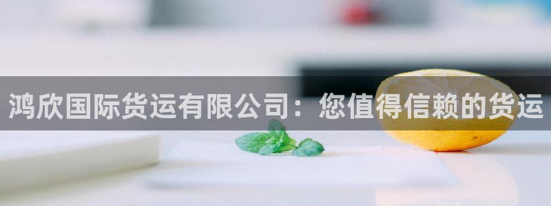 尊龙官网网站：鸿欣国际货运有限公司：您值得信赖的货运