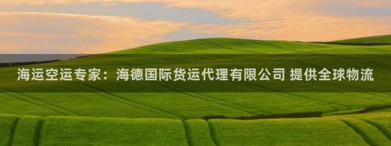 尊龙凯时怎么样没听说过：海运空运专家：海德国际货运代理有