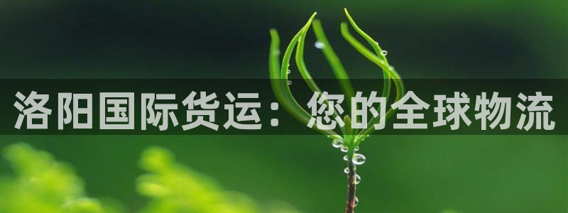 尊龙ag旗舰厅官网登录：洛阳国际货运：您的全球物流