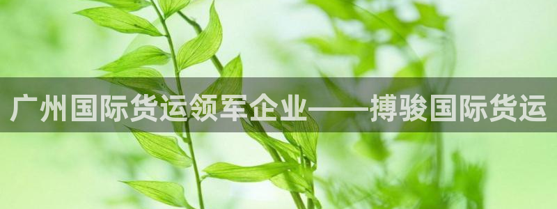 尊龙凯时一人生就是博登入：广州国际货运领军企业——搏骏国
