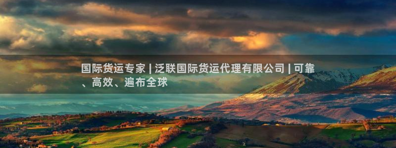尊龙人生就是博电脑版：国际货运专家 | 泛联国际货运代理