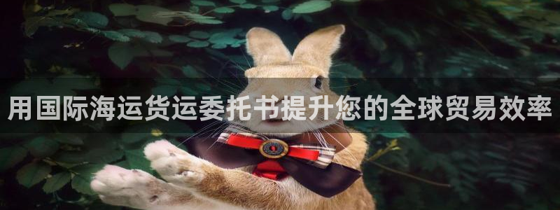 尊龙凯时用户名m：用国际海运货运委托书提升您的全球贸易效