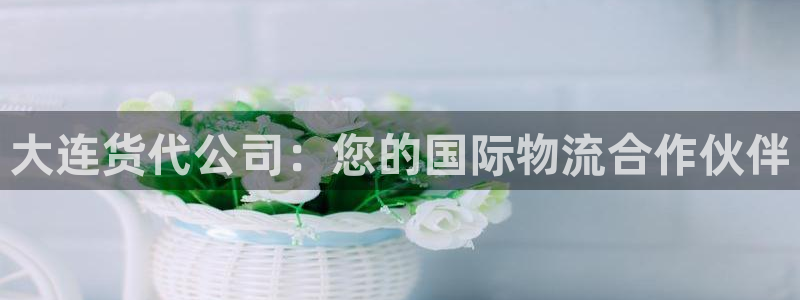 尊龙官方app下载：大连货代公司：您的国际物流合作伙伴