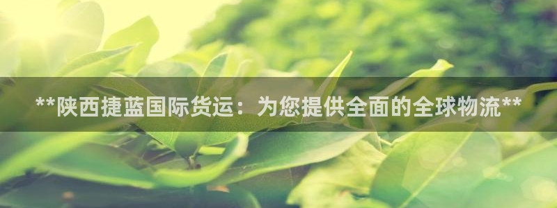 尊龙内地：**陕西捷蓝国际货运：为您提供全面的全球物流*