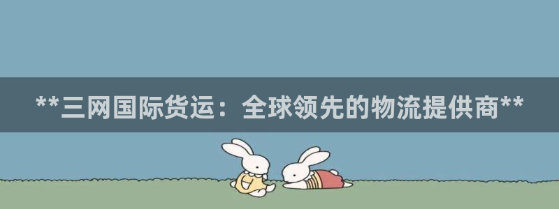 尊龙目前情况：**三网国际货运：全球领先的物流提供商**