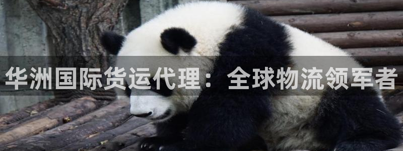 尊龙d88官网可靠送38元：华洲国际货运代理：全球物流领