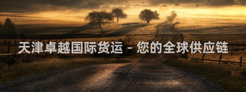 尊龙凯时平台官网：天津卓越国际货运 - 您的全球供应链