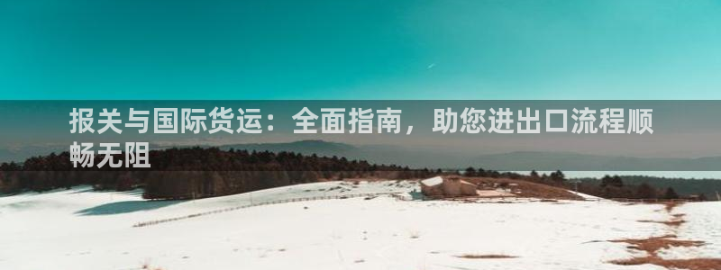 尊龙z6：报关与国际货运：全面指南，助您进出口流程顺
畅