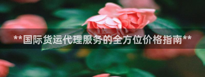 尊龙凯时 人生就是搏：**国际货运代理服务的全方位价格指