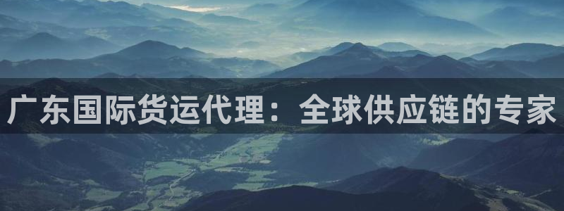 尊龙百度贴吧：广东国际货运代理：全球供应链的专家