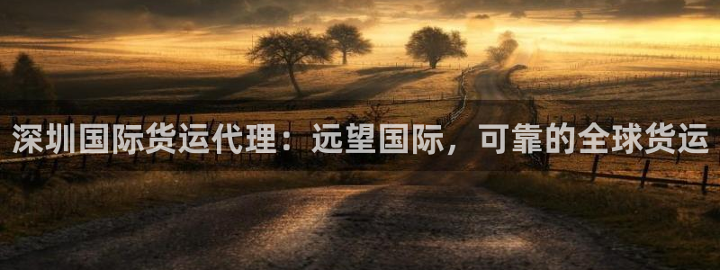 尊龙人生就是-首页(中国)有限公司：深圳国际货运代理：远