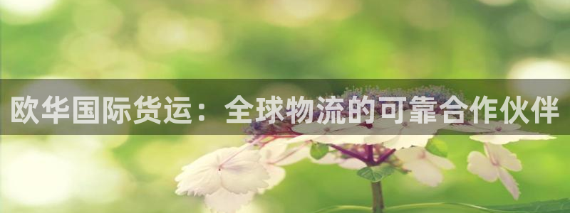 尊龙人生手机版都去ag发财网：欧华国际货运：全球物流的可
