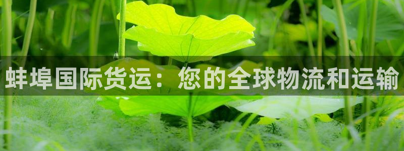 Z6尊龙凯时官方：蚌埠国际货运：您的全球物流和运输