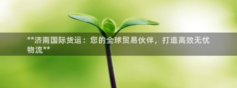 尊龙凯时麻将胡了：**济南国际货运：您的全球贸易伙伴，打