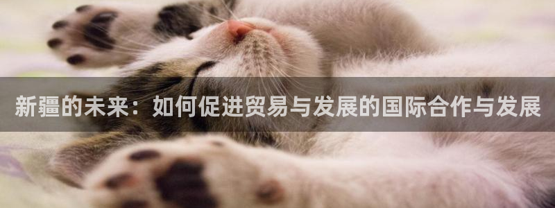 尊龙凯时 - 人生就是搏!