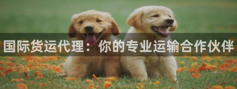 尊龙凯时赢不了