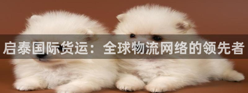 尊龙凯时品牌介绍