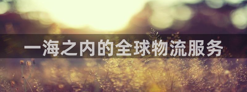 尊龙目前在哪