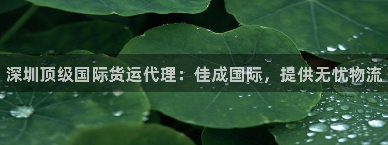 尊龙凯时登陆入口：深圳顶级国际货运代理：佳成国际，提供无