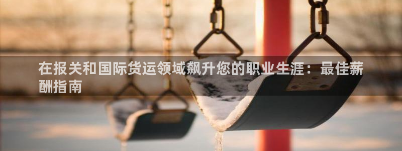 尊龙集团：在报关和国际货运领域飙升您的职业生涯：最佳薪
