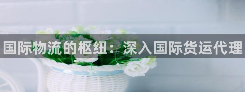 尊龙凯时有假么：国际物流的枢纽：深入国际货运代理