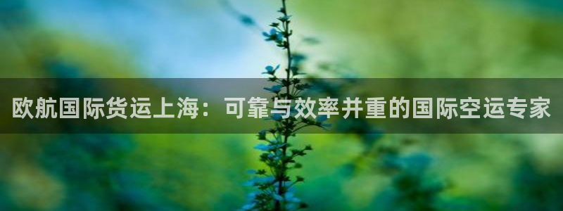 尊龙凯时官网登录入口：欧航国际货运上海：可靠与效率并重的