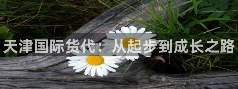 尊龙手机官方客户端下载安卓