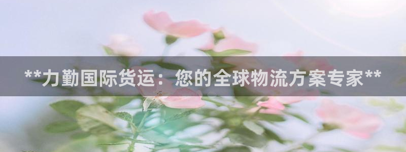 尊龙d88手机登录免费下载：**力勤国际货运：您的全球物