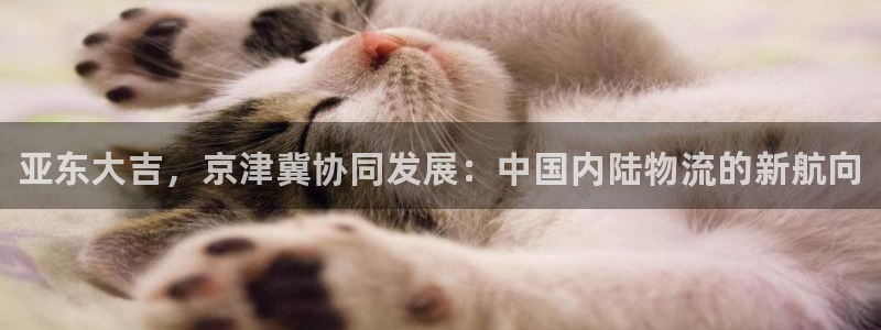 ag旗舰平台尊龙代言