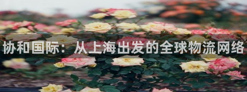 尊龙凯时邀请码