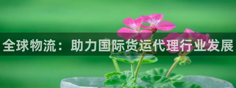 尊龙凯时 - 人生就是搏!提款怎么样