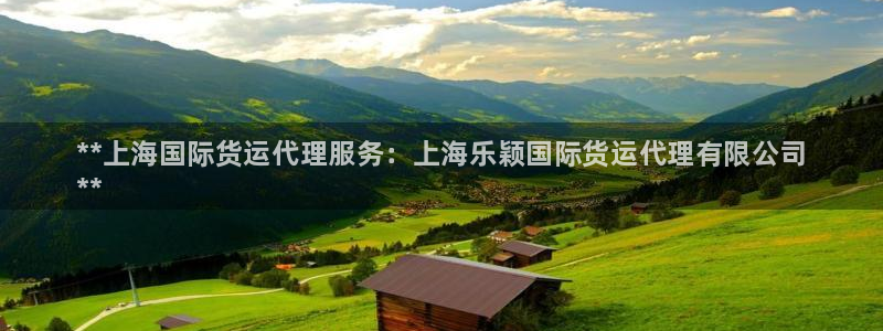 尊龙凯时人生就是博游戏网站：**上海国际货运代理服务：上