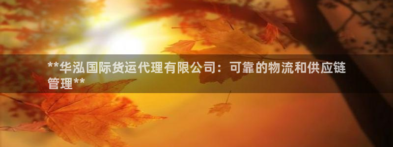 尊龙凯时网站不让提款：**华泓国际货运代理有限公司：可靠