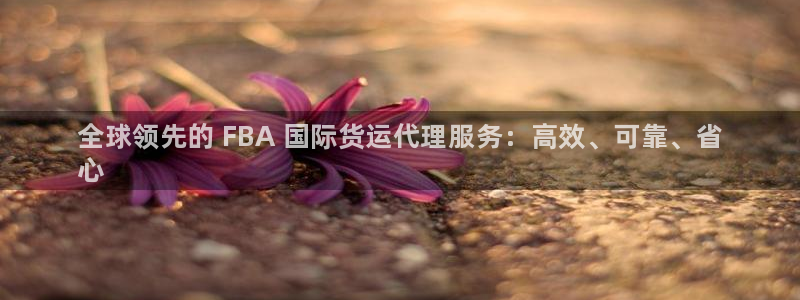 尊龙凯时法拉币：全球领先的 FBA 国际货运代理服务：高