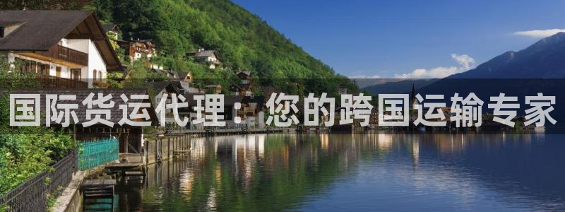 尊龙人生就是-首页：国际货运代理：您的跨国运输专家