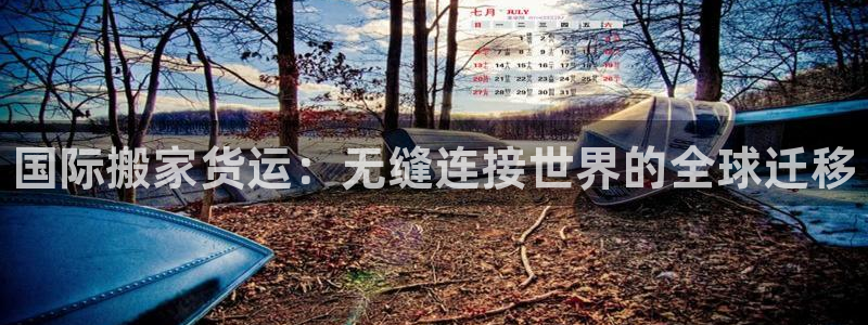 尊龙凯时网页版：国际搬家货运：无缝连接世界的全球迁移