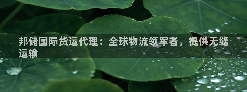 尊龙d88平台：邦储国际货运代理：全球物流领军者，提供无